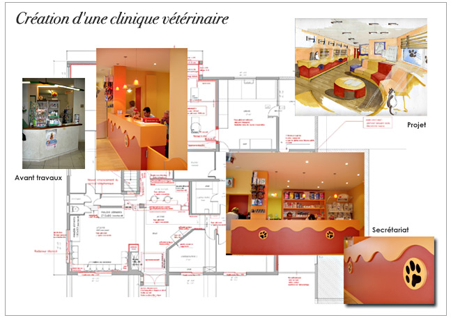 Architecture et décoration d'intérieur : Clinique vétérinaire